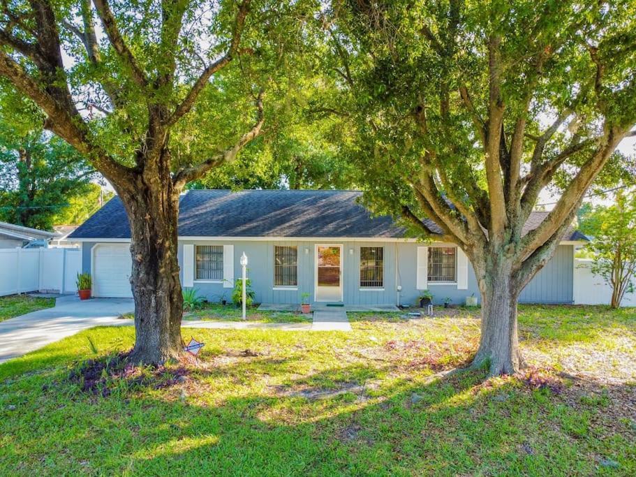 Town 'n' Country Cozy Corner, Your Florida Fun Hub * Tampa